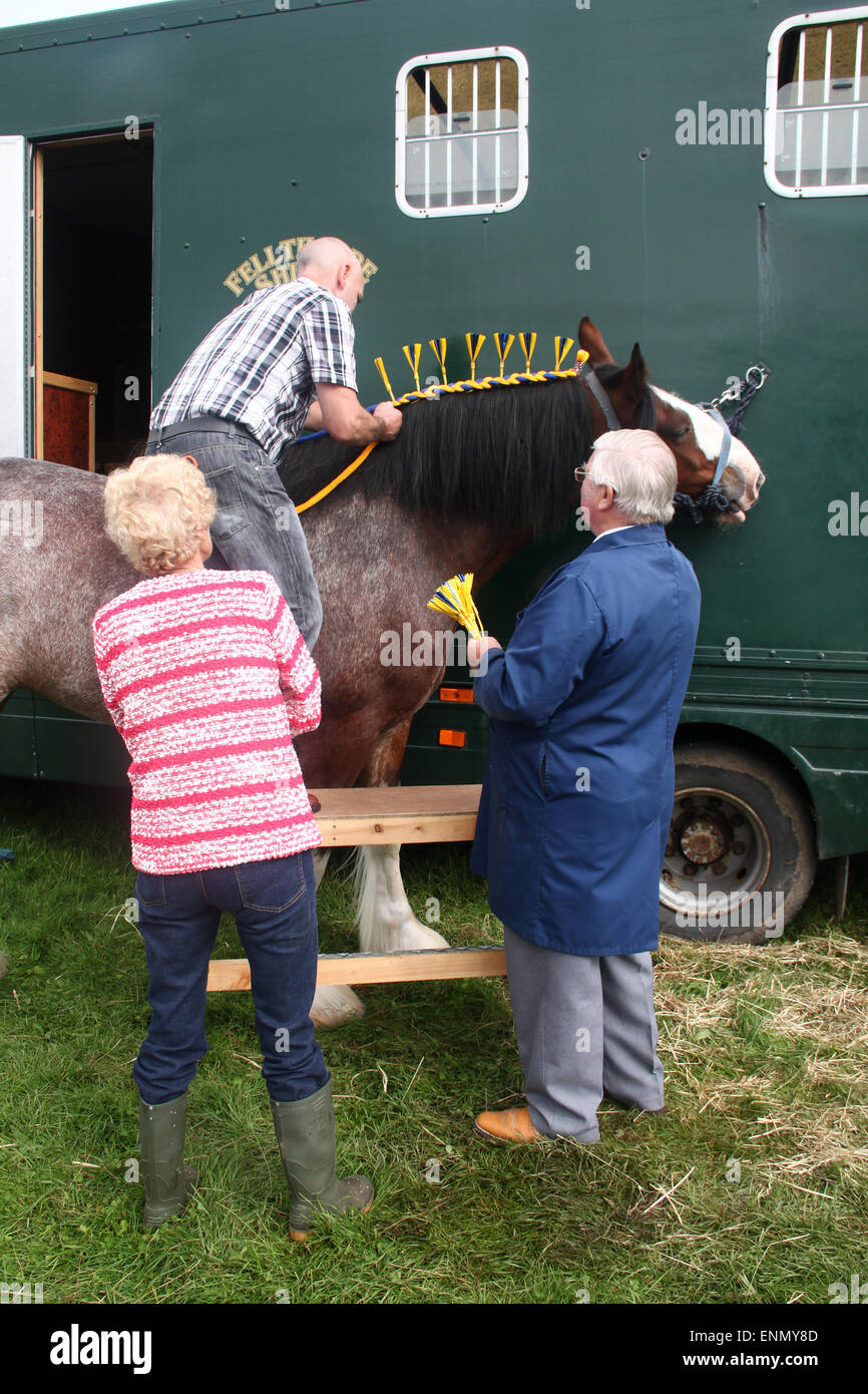People watching as man plaits Shire horse's mane at Egton Agricultural ...
