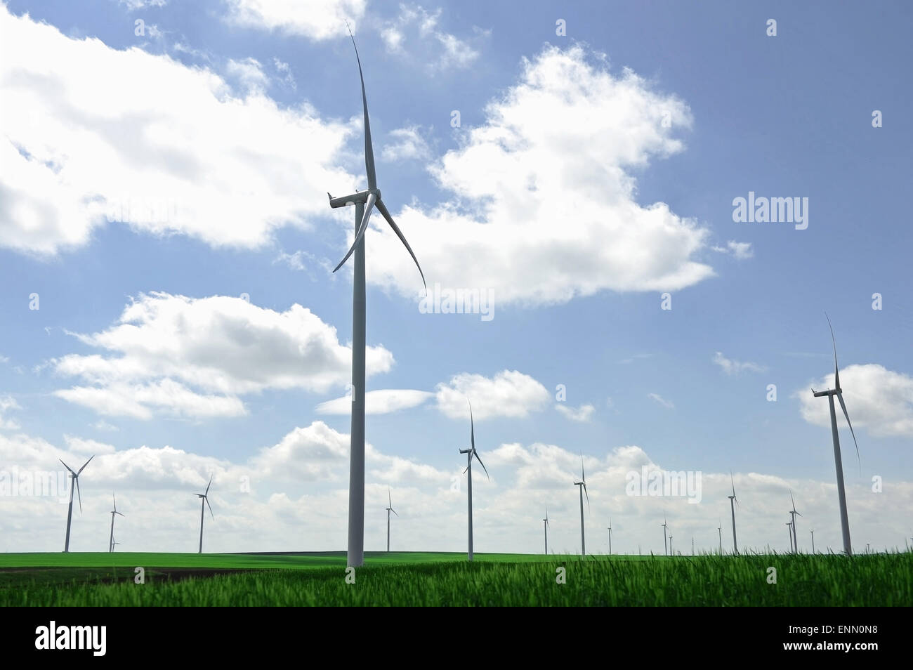 Wind turbine farm on a green field in springtime Stock Photo