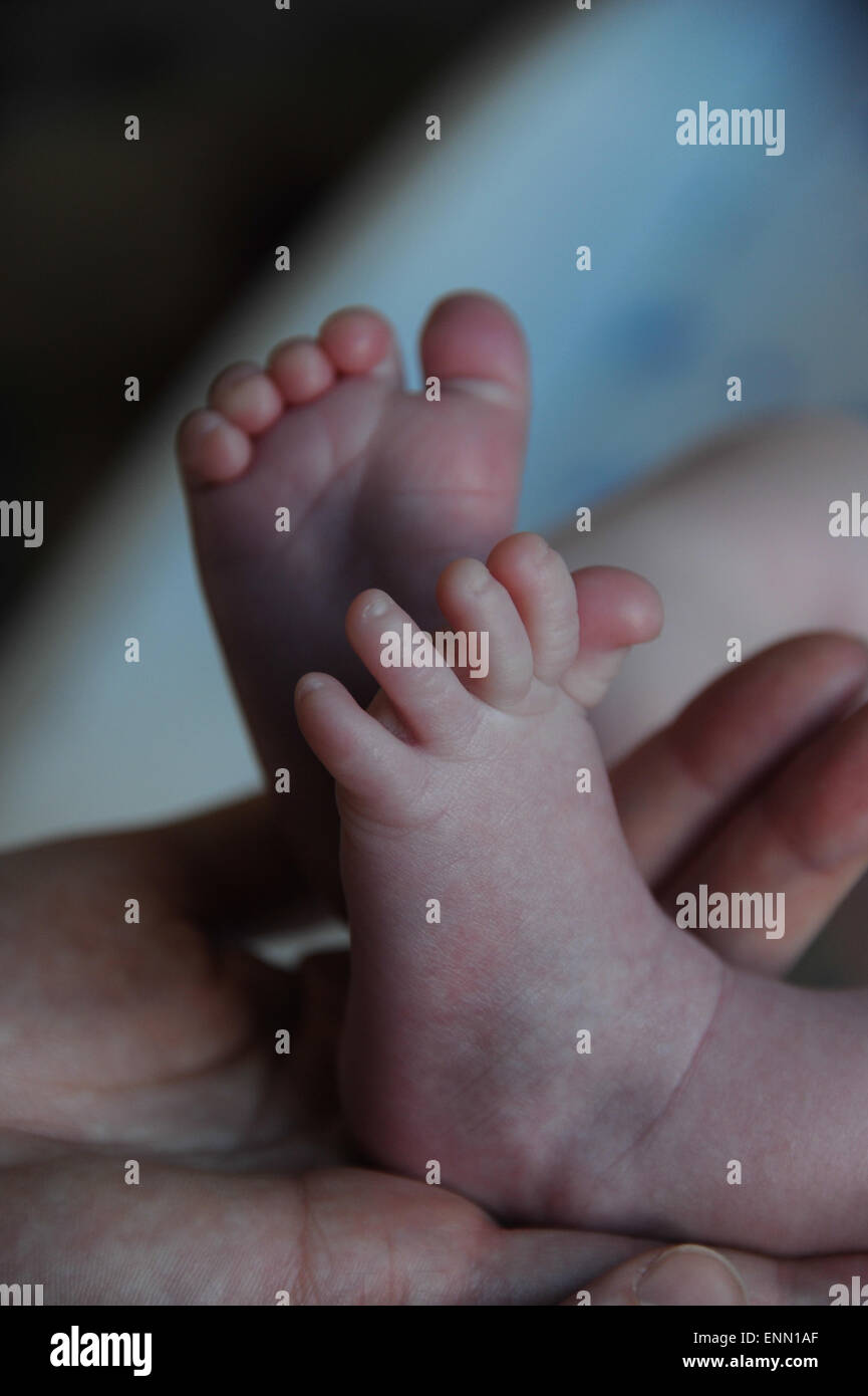 Tiny toes on a baby's feet. Stock Photo