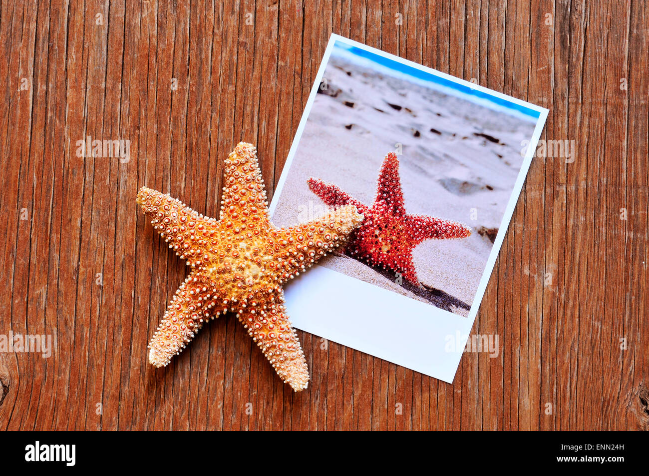 high-angle shot of a starfish and an instant photo of a starfish on the sand of a beach, placed on a rustic wooden surface Stock Photo