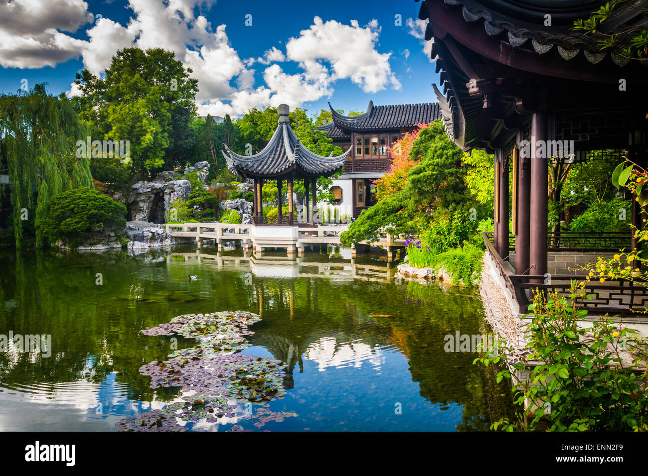 Pagoda and pond at the Lan Su Chinese Garden in Portland, Oregon. Stock Photo