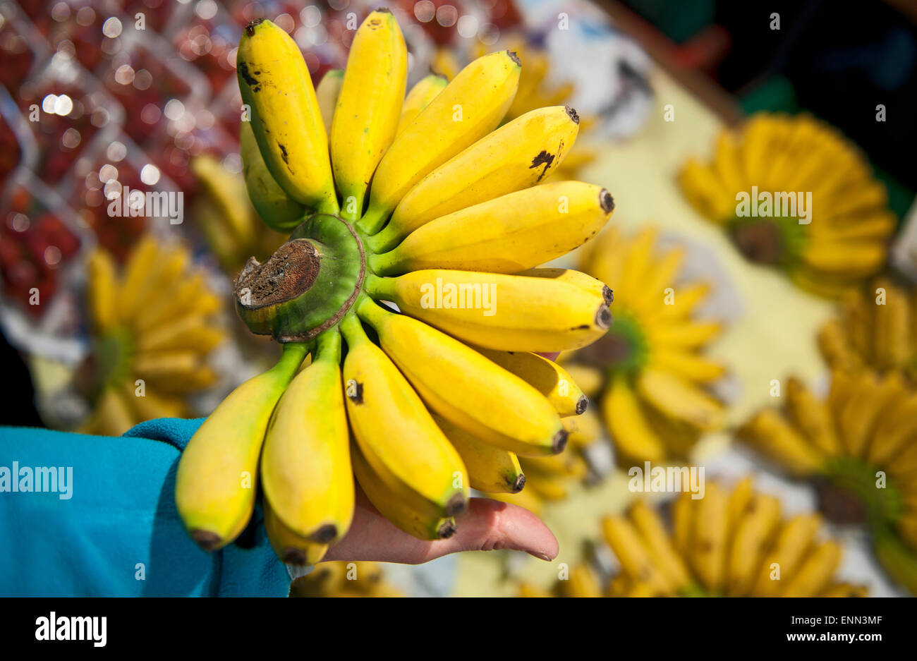 small bananas at a open air market in Thailand Stock Photo Alamy