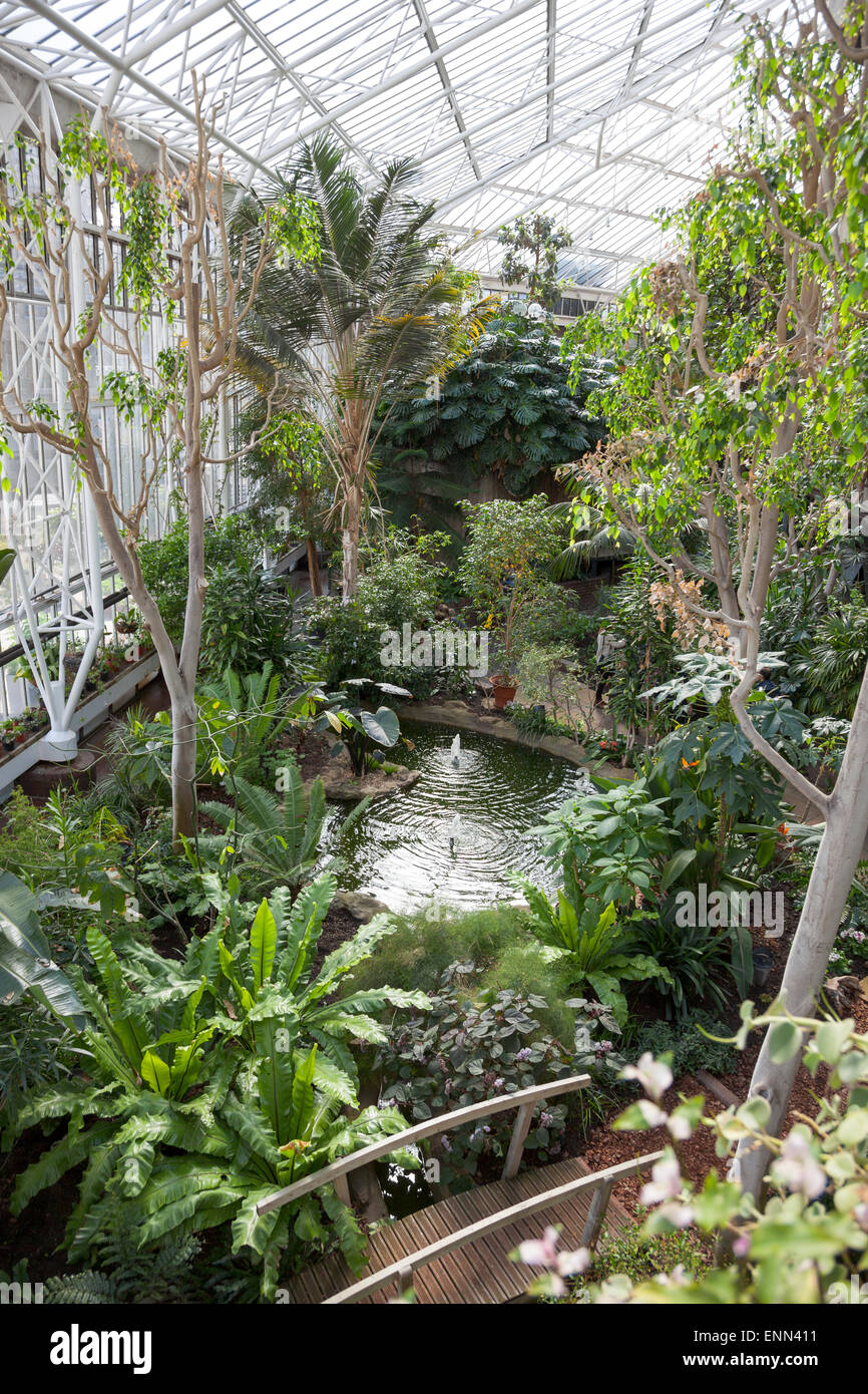 Barbican conservatory inside the Barbican Centre, London, England Stock Photo