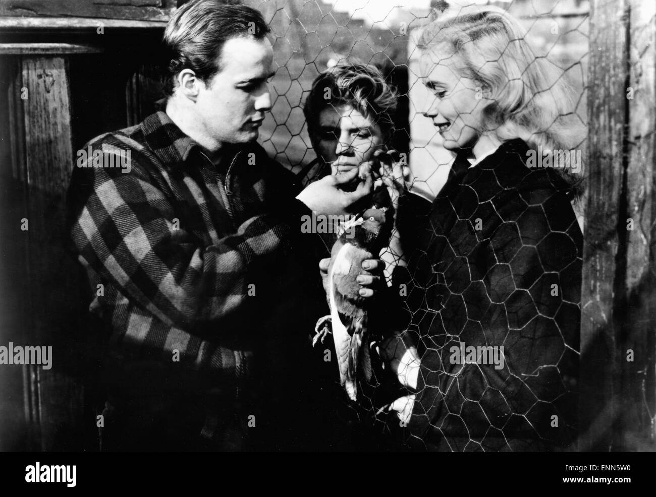 On the Waterfront, USA 1954, aka: Die Faust im Nacken, Regie: Elia Kazan, Darsteller: Marlon Brando, Eva Marie Saint, Thomas Han Stock Photo