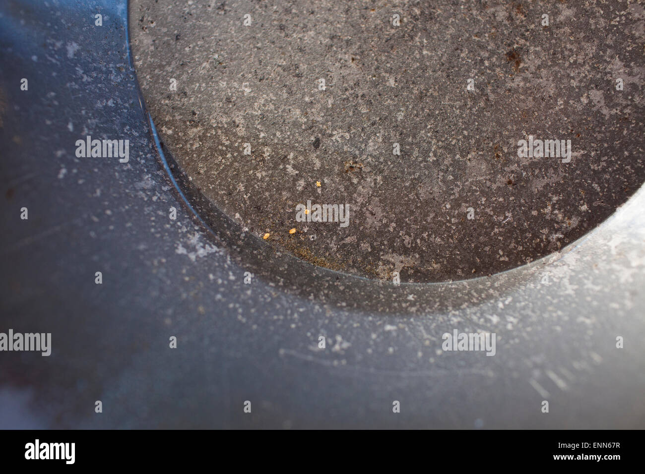 Four flakes of gold are left in the pan after panning for gold Stock