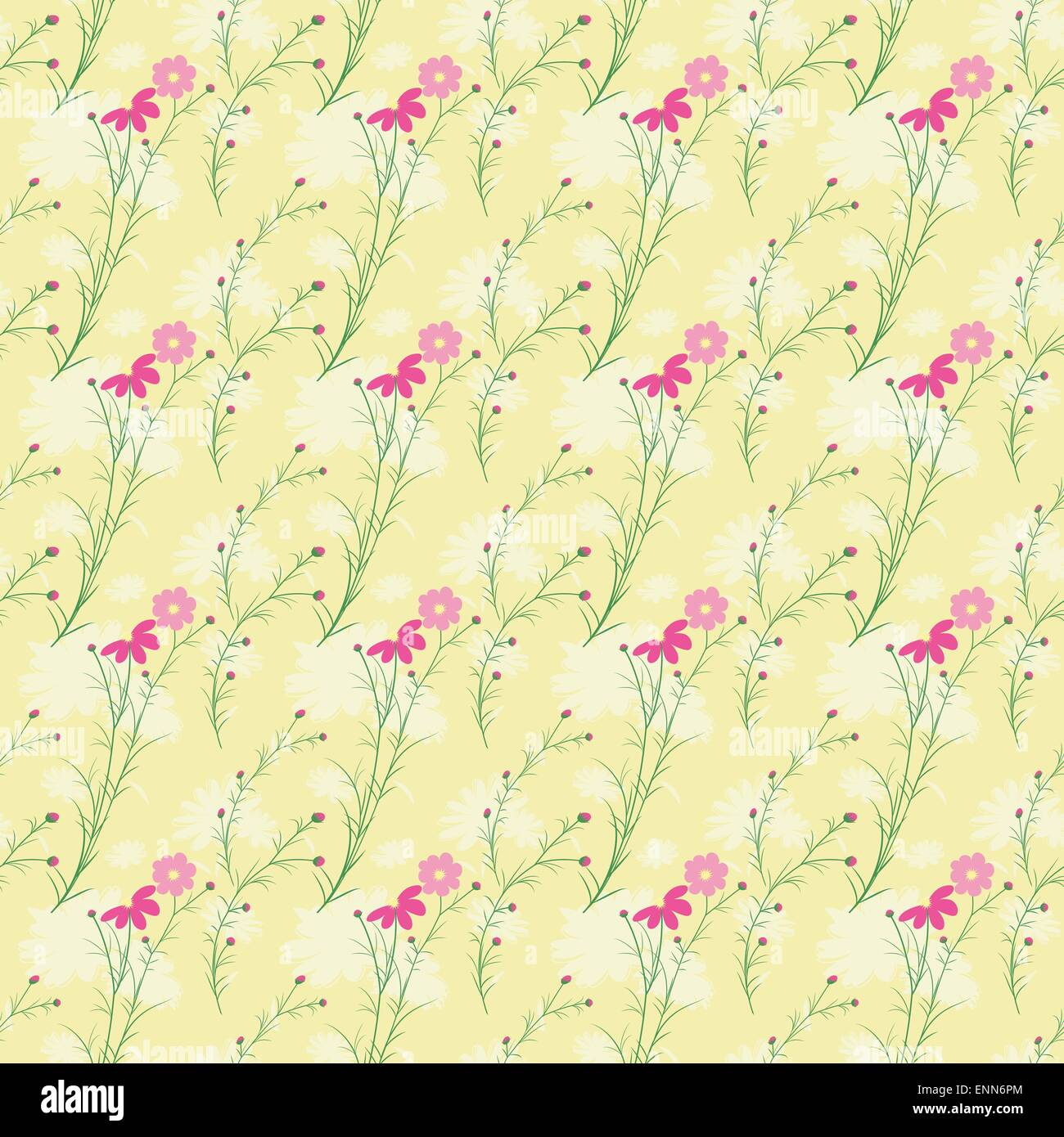 Cosmos flower vector hi-res stock photography and images - Alamy