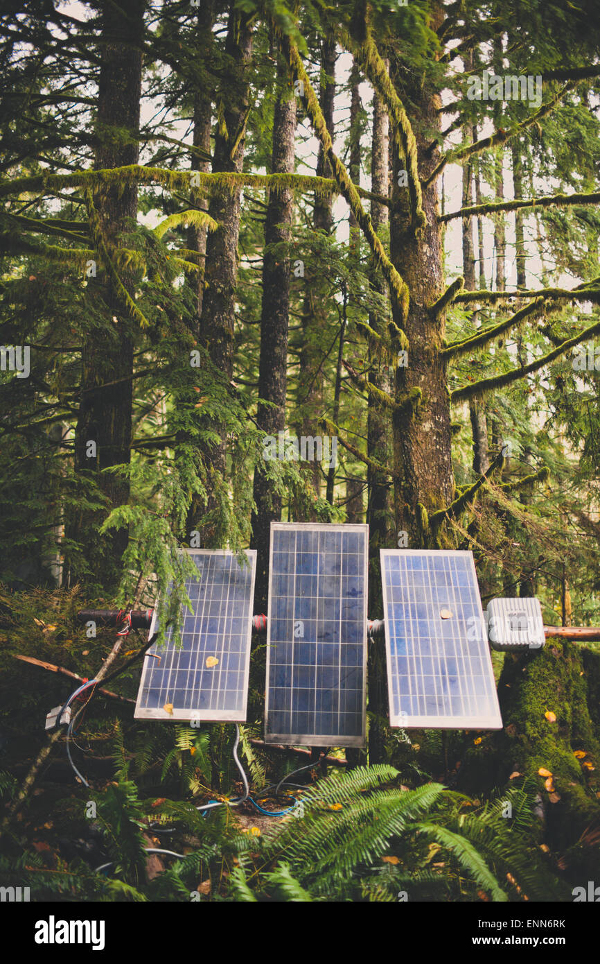 Solar Panels Set Up In A Lush Forest Stock Photo 82215607