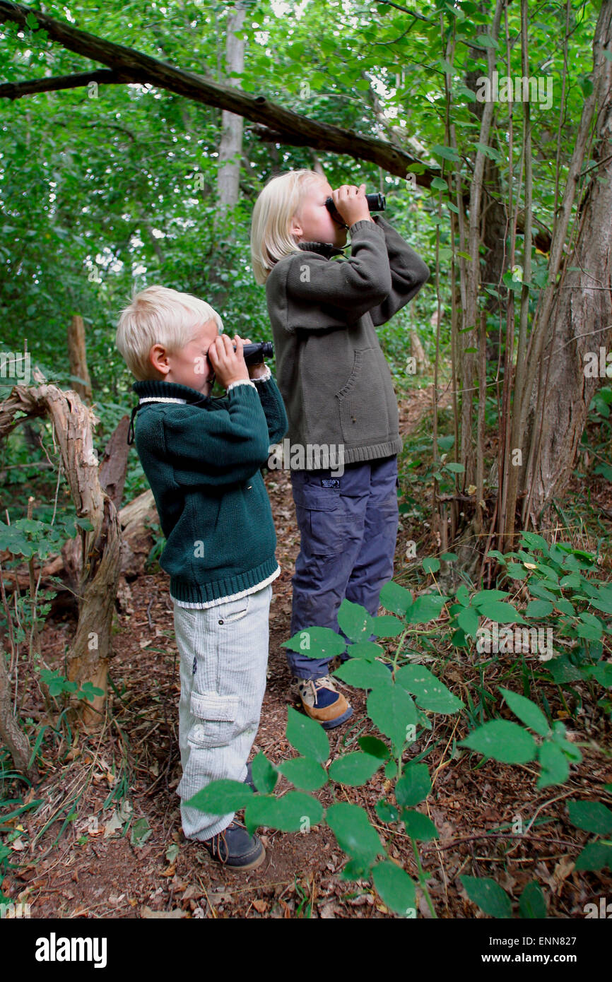 Kid, kids, binoculars, field glasses, wood, forest, Mädchen und Junge, Kind, Kinder beobachten Vögel im Wald mit dem Fernglas Stock Photo