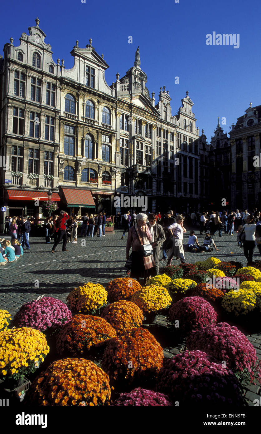 Blumenmarkt hires stock photography and images Alamy
