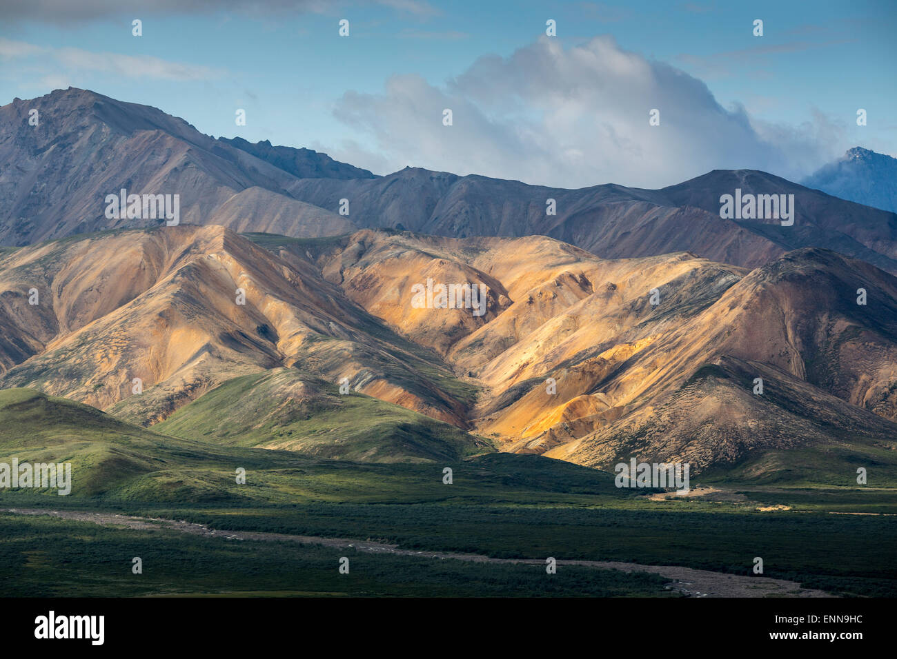 view of the famous polychrom pass in Denali National Park Stock Photo