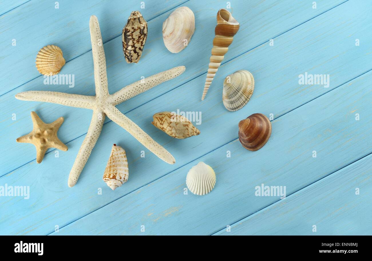 Starfish and sea shells on azure wooden background Stock Photo - Alamy