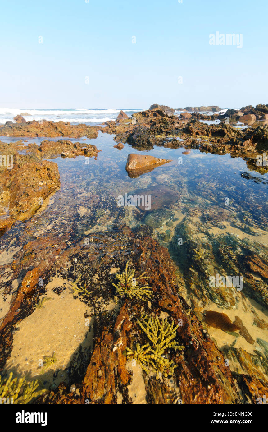 Blue pool bay wales hi-res stock photography and images - Alamy