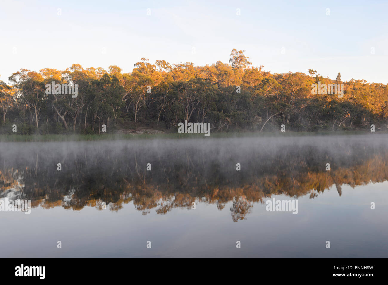 Dunns Swamp, Wollemi National Park, New South Wales, NSW, Australia Stock Photo