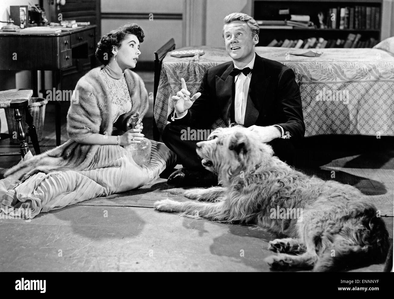 The Big Hangover, aka Von Katzen und Katern, USA, 1950, Regie: Norman Krasna, Darsteller: Van Johnson, Elizabeth Taylor Stock Photo