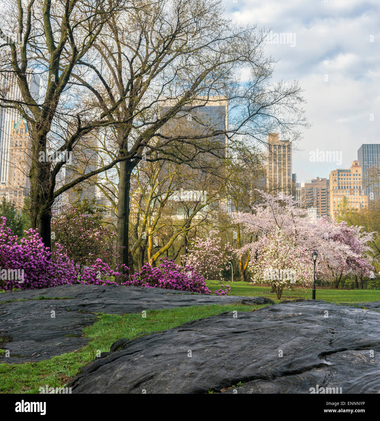 Early spring Central Park, New York City in the early morning Stock Photo