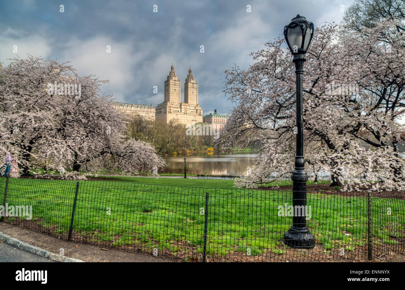 Early morning in Central Park, New York City in the spring Stock Photo ...