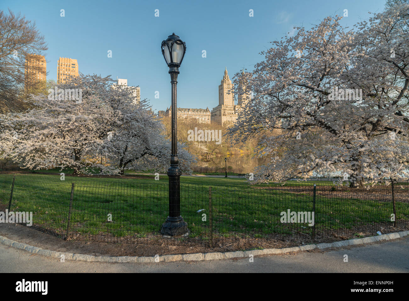 Early morning in Central Park, New York City in the spring Stock Photo ...