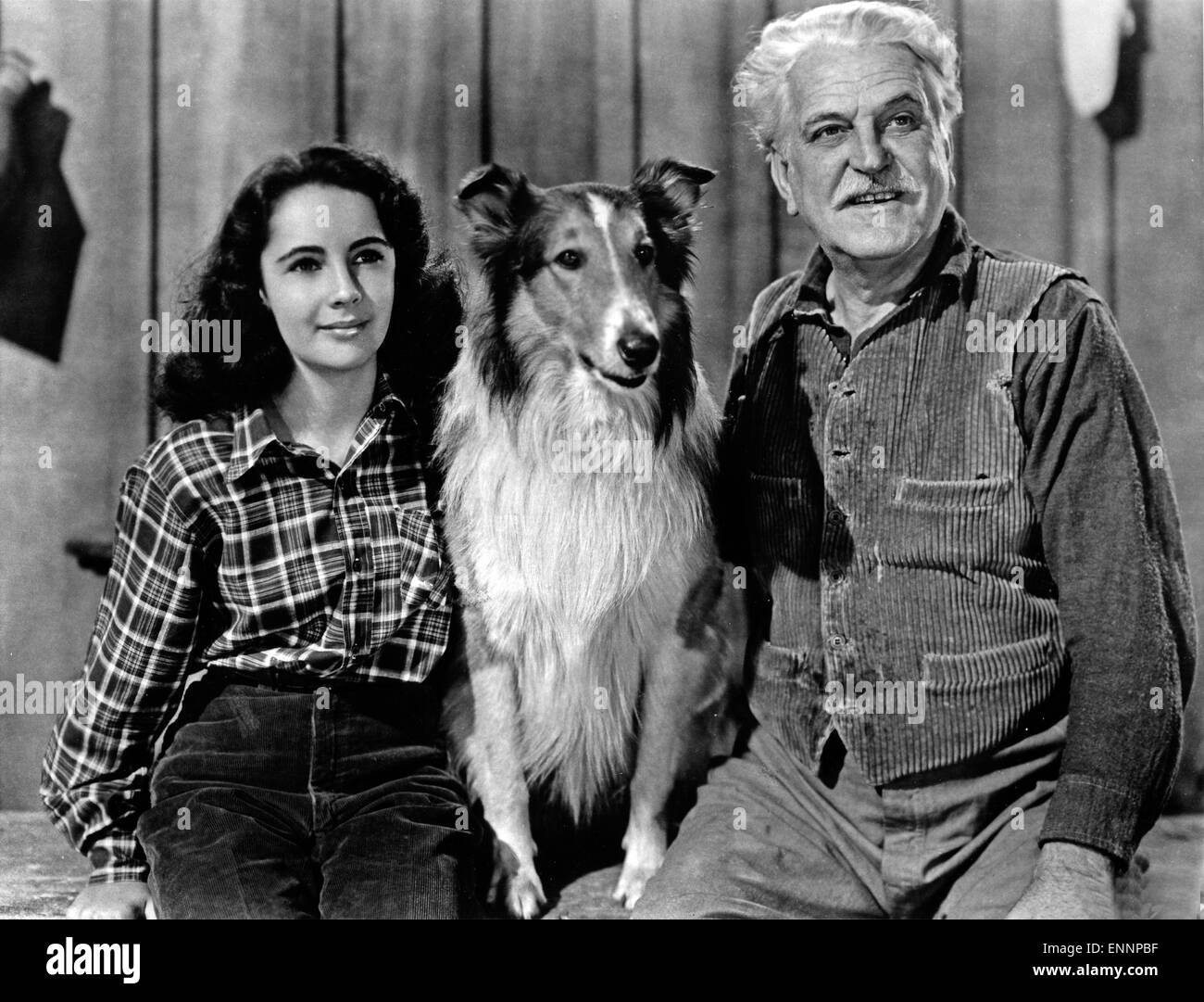 Courage of Lassie Original 1946 Argentine Movie Poster