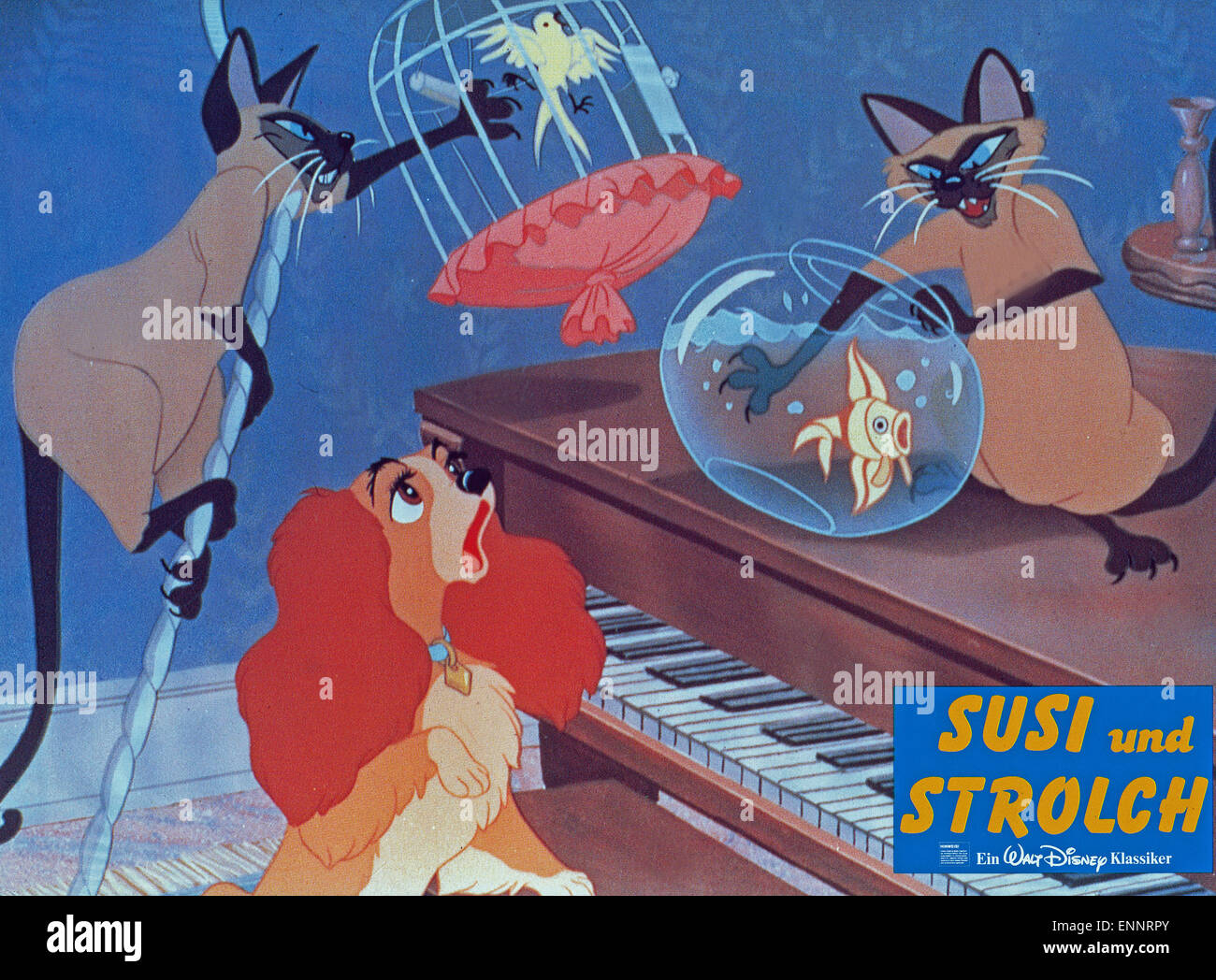 The Lady and The Tramp, aka: Susi und Strolch, USA 1955, Zeichentrickfilm, Regie: Clyde Geronimi, Darsteller: Katzen ärgern Susi Stock Photo