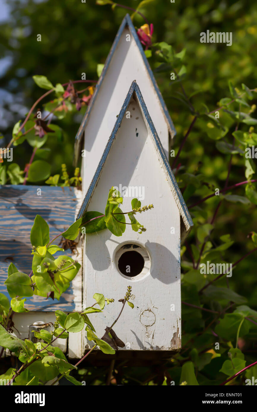 Weathered wooden birdhouse surrounded by greenery. Stock Photo