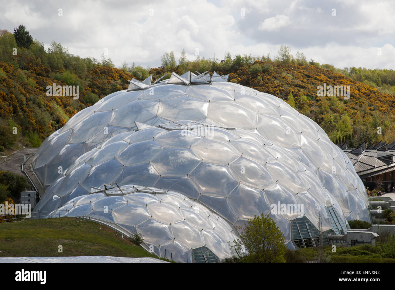 The Eden Project environmental conservation charity Park Stock Photo