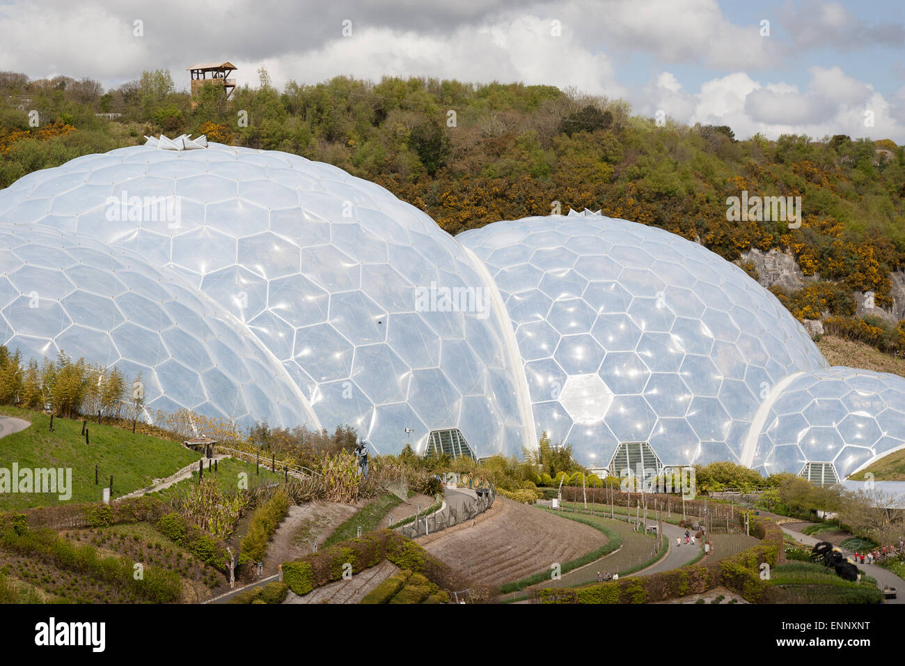 The Eden Project environmental conservation charity Park Stock Photo