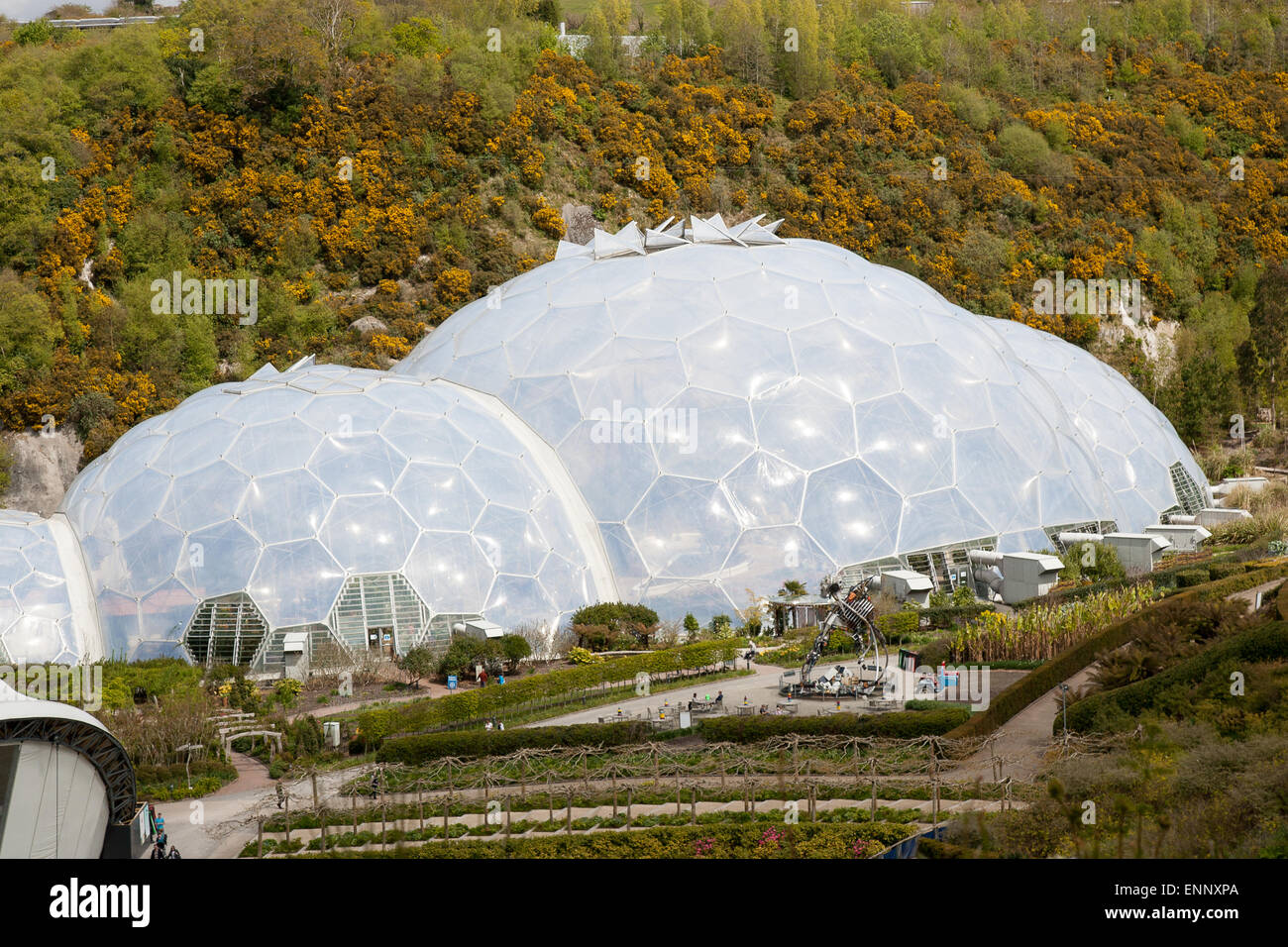 The Eden Project environmental conservation charity Park Stock Photo