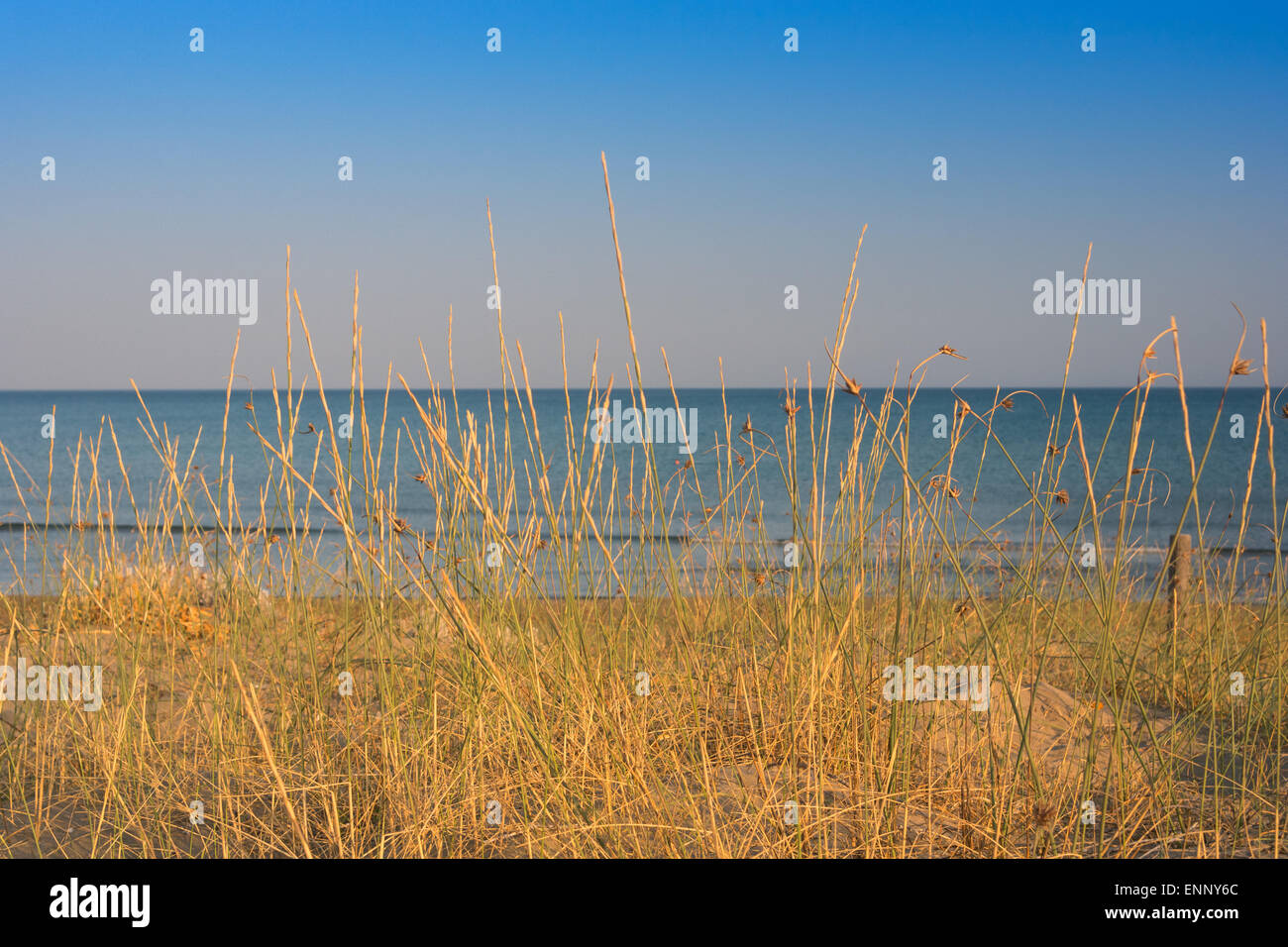 Sunny beach with sand dunes and blue sky  in Zakynthos island, Greece Stock Photo
