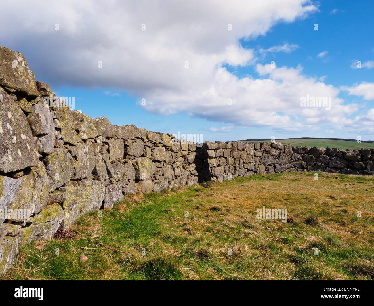 The iron age round wall stone of Edin's Hall broch in the Scottish Borders. Stock Photo