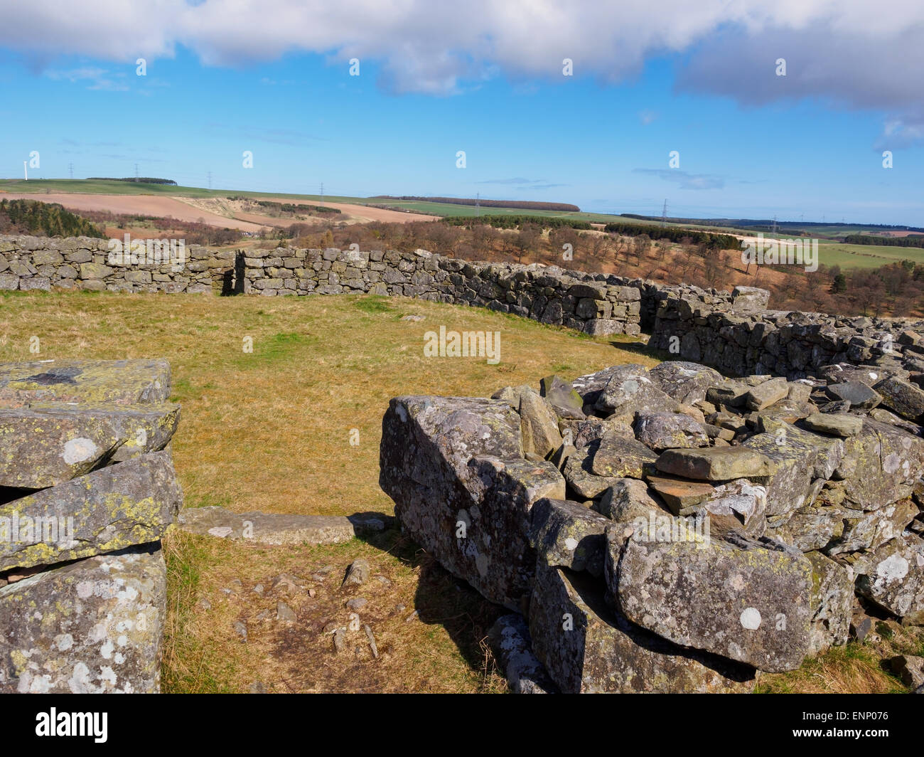 The iron age round wall stone of Edin's Hall broch in the Scottish Borders. Stock Photo