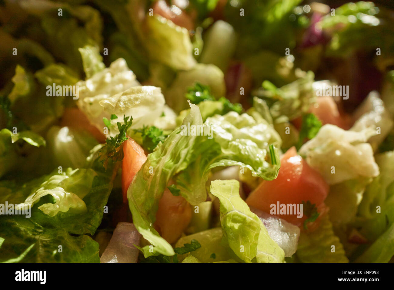green salad with tomato Stock Photo