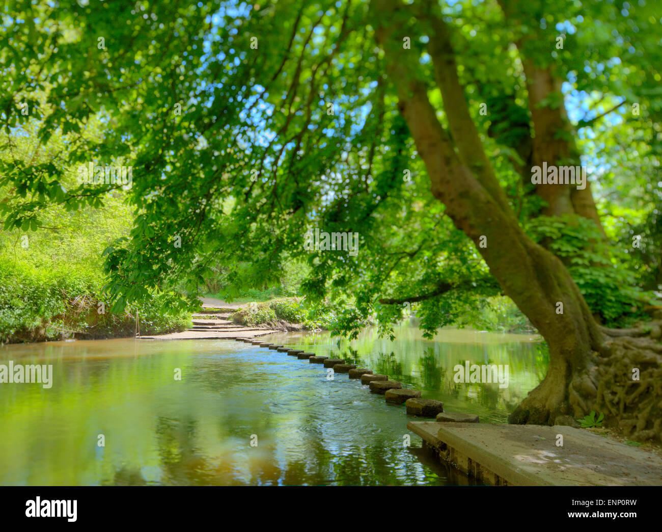 Stepping stones crossing the river Mole. Stock Photo