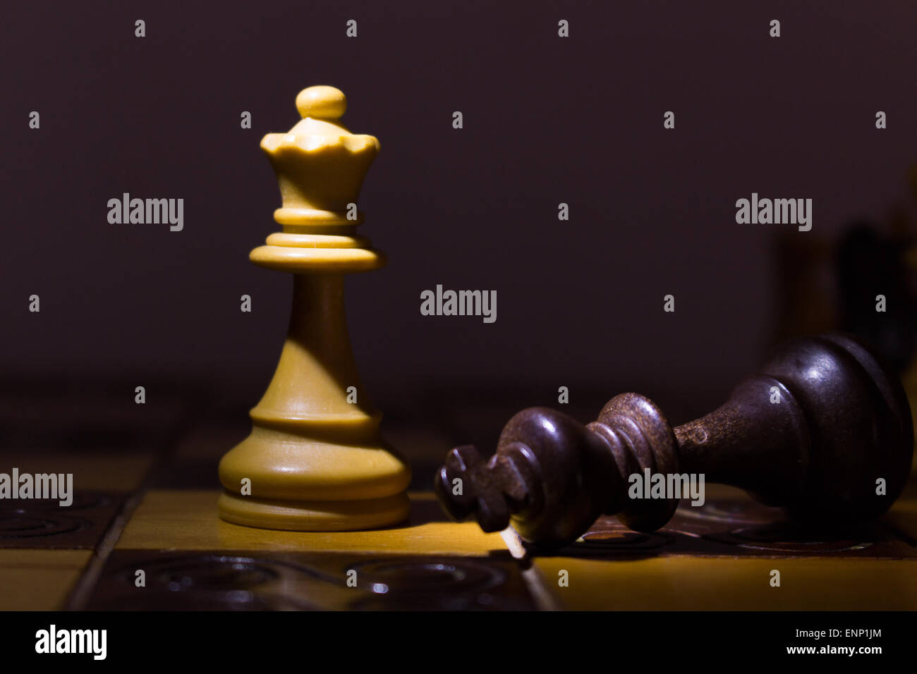Photographed on a chess board Stock Photo