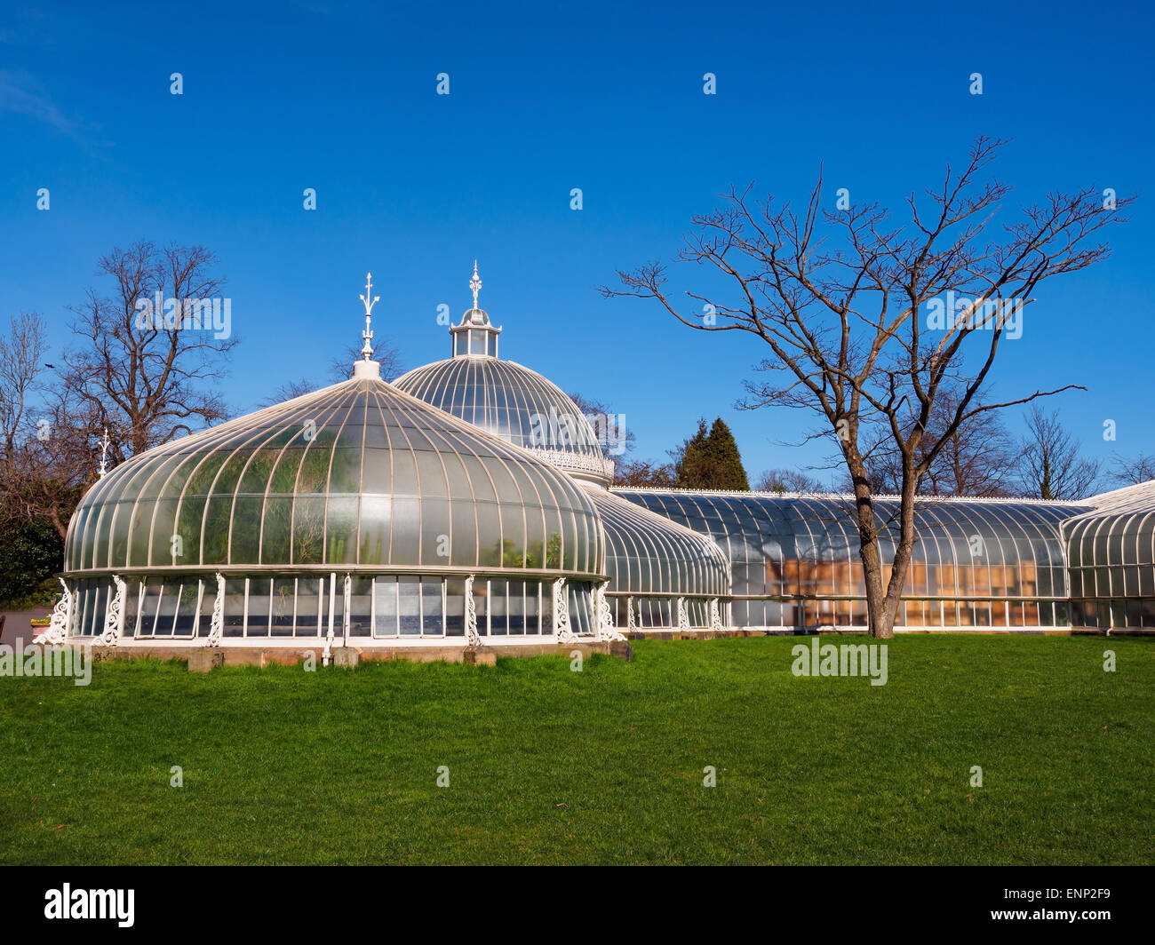 Kibble palace glasgow botanic gardens hires stock photography and