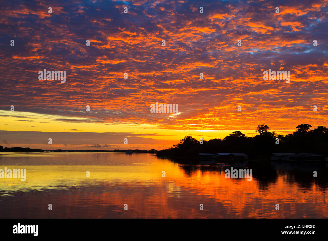 Sunrise over the Rio Negro near Manaus, Amazona, Brazil, Stock Photo