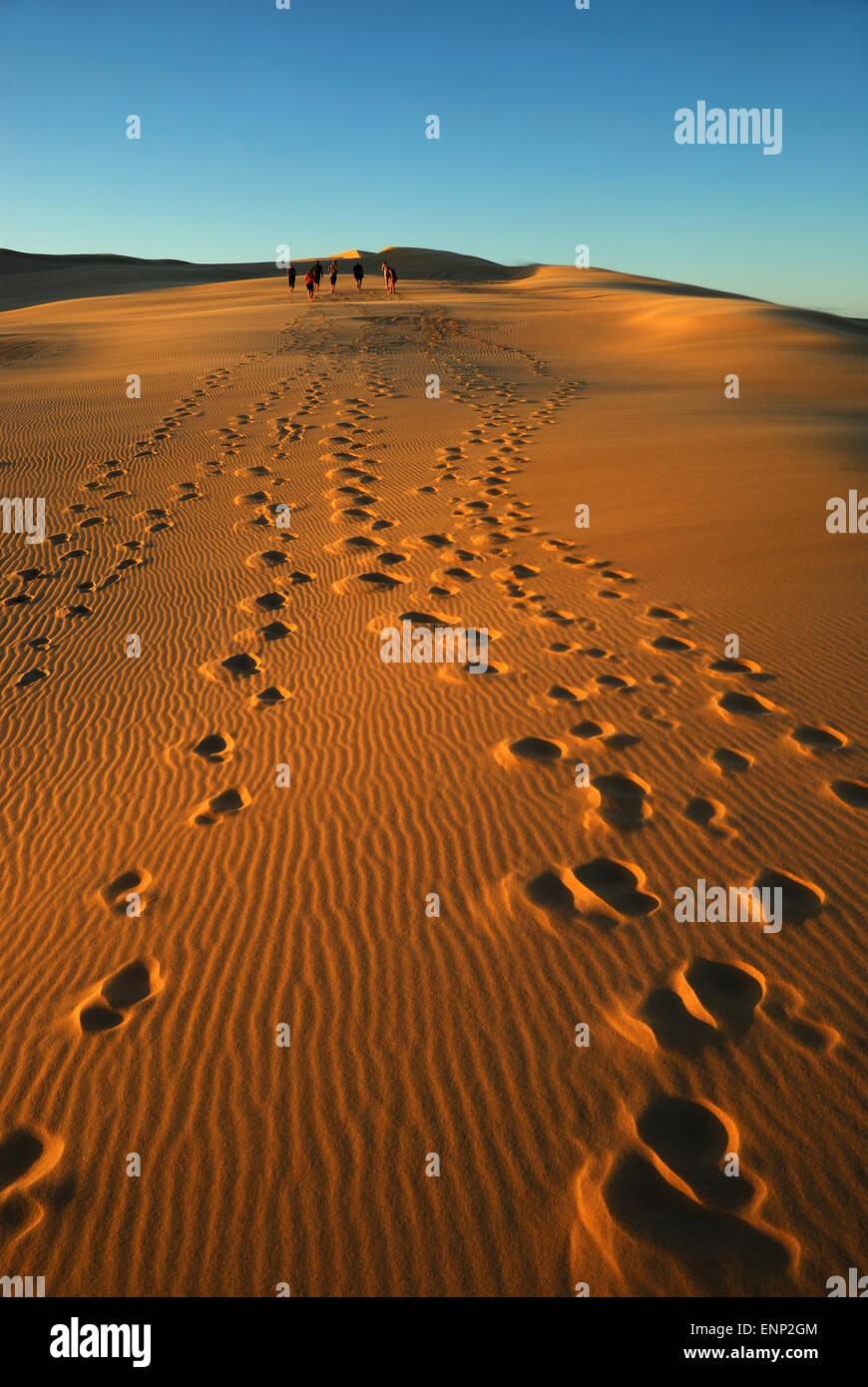 Group of people walking on the sand dune during the sunset Stock Photo ...