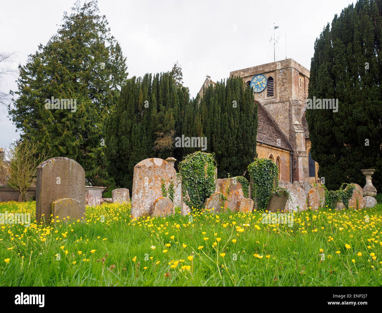 Old grave stones amongst the flowers in the church yard at Faringdon, Oxfordshire, UK. Stock Photo