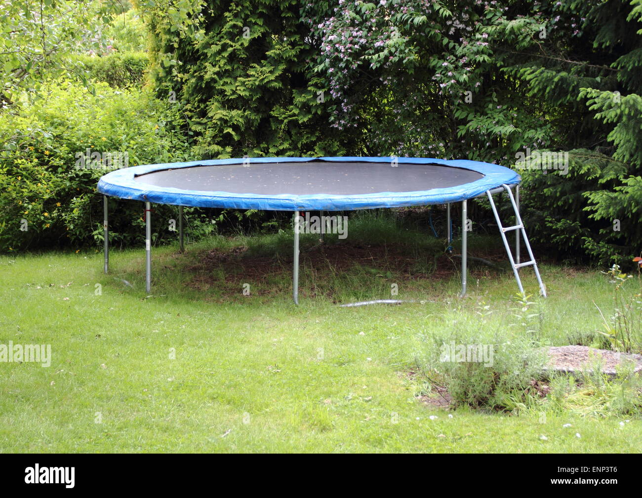 Blue trampoline on the lawn in garden Stock Photo