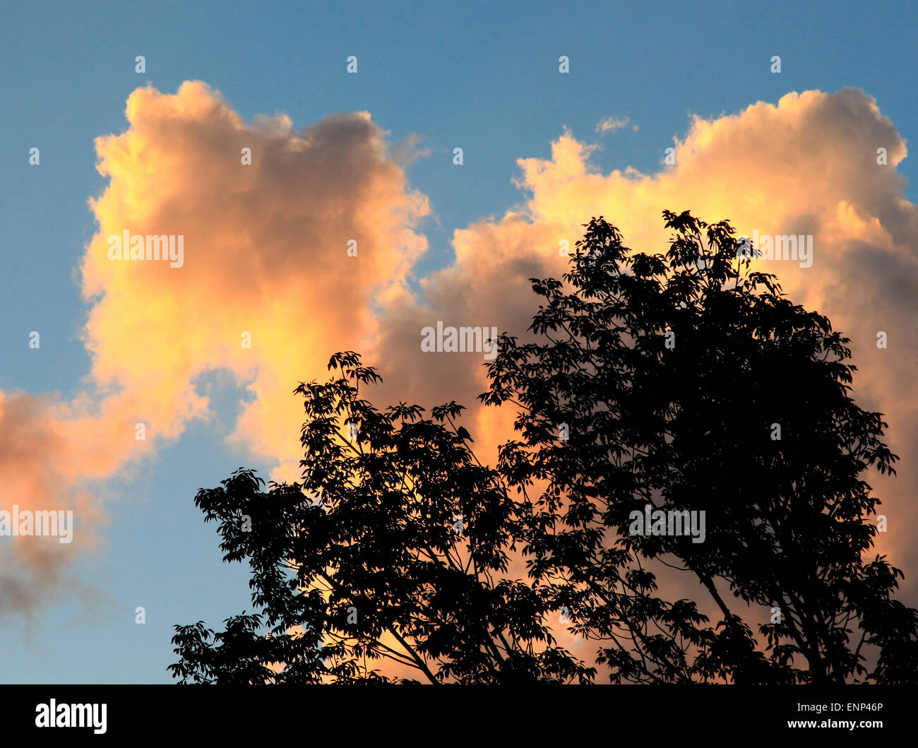 Clouds puffy sunset hi-res stock photography and images - Alamy