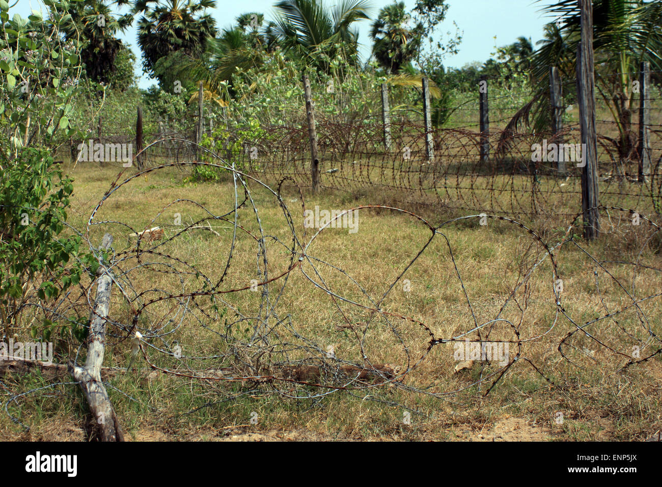 Barbed wire near Kalkudah bay beach, east coast of Sri Lanka Stock Photo