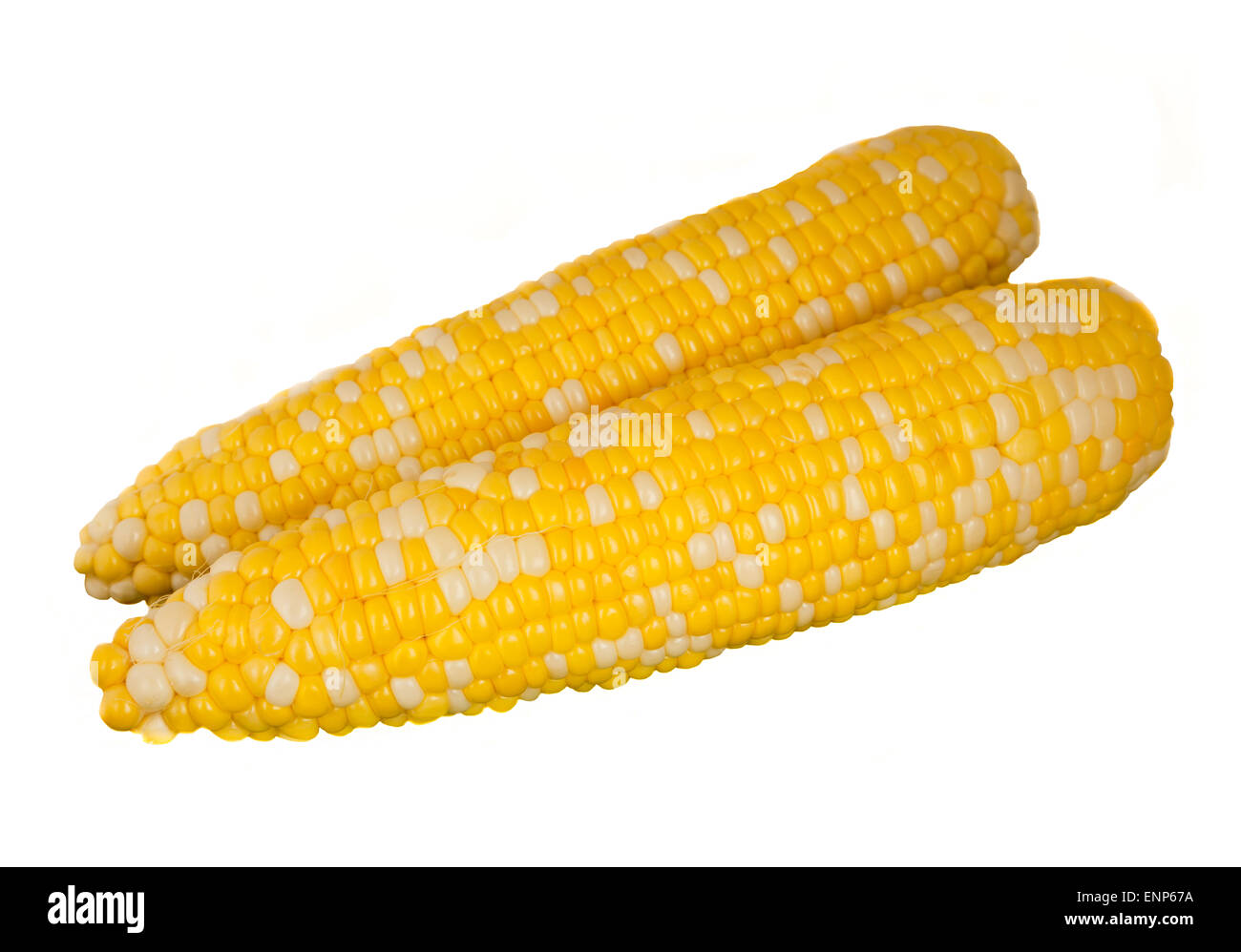 Two ears of sweet corn Stock Photo