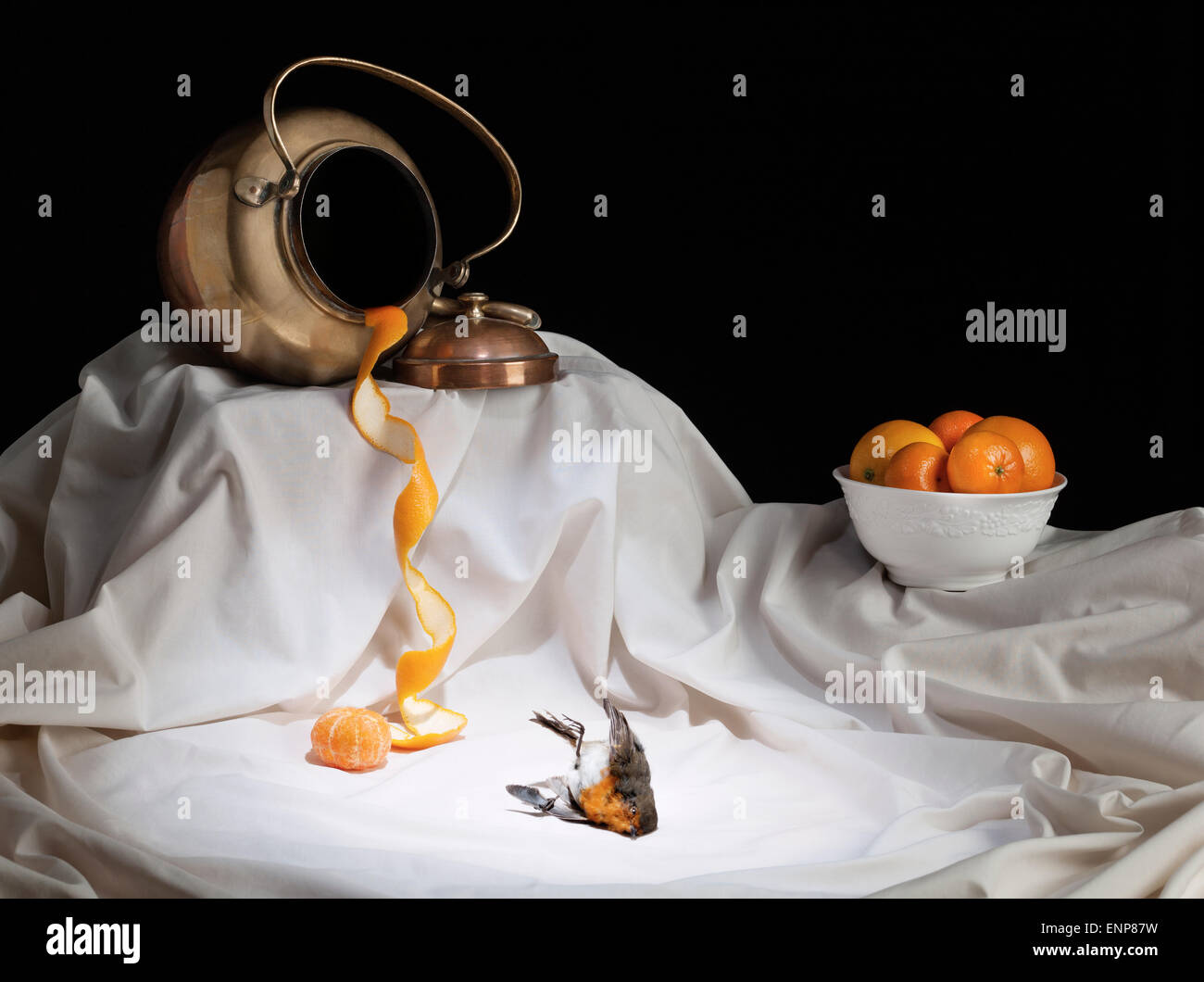 Representation of death through taxidermy Stock Photo Alamy