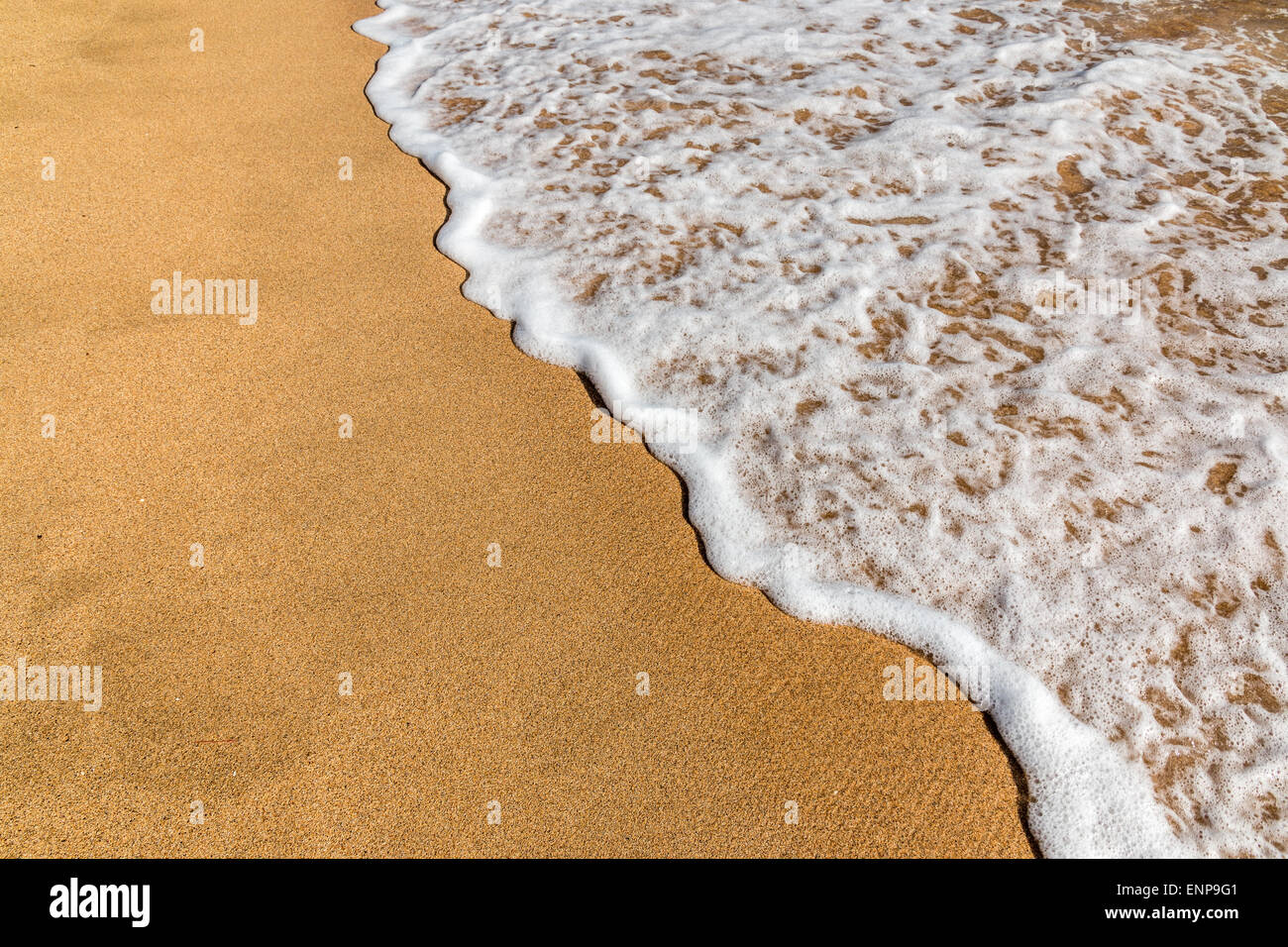 A small wave flows over a tropical sandy beach. Stock Photo