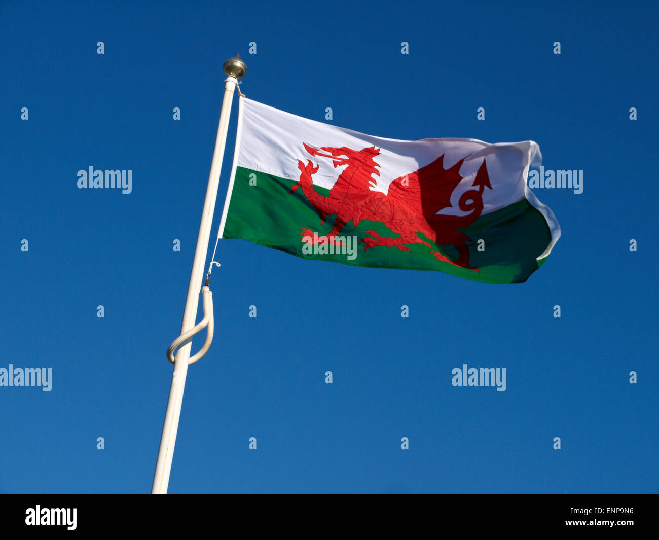 Welsh flag Stock Photo