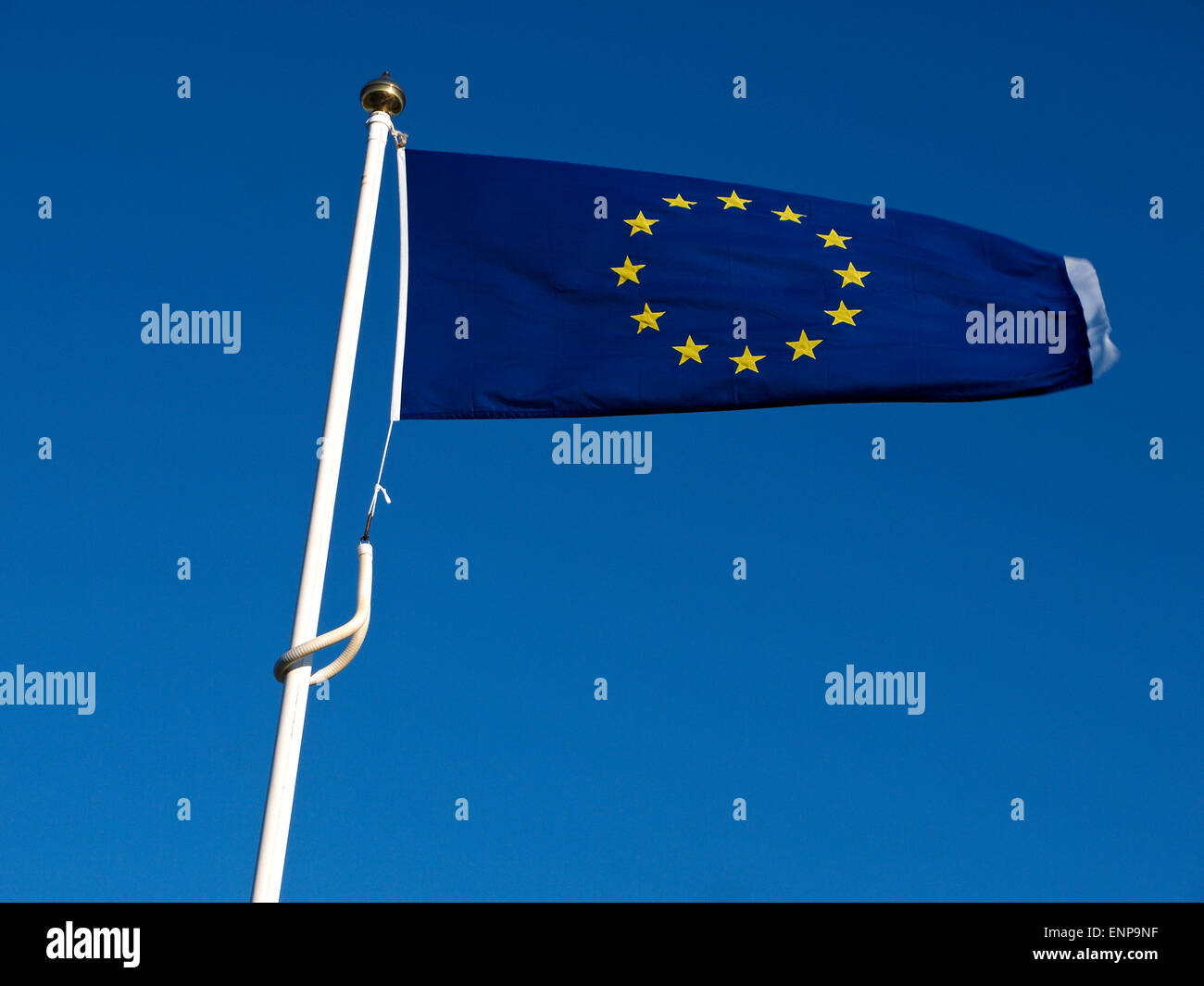 European flag Stock Photo