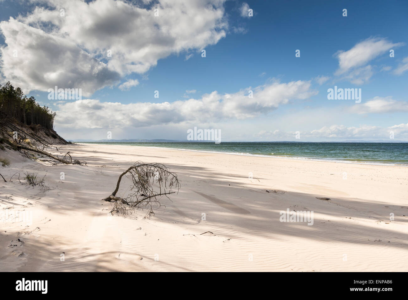 Culbin Sands on the Moray Firth in Scotland. Stock Photo