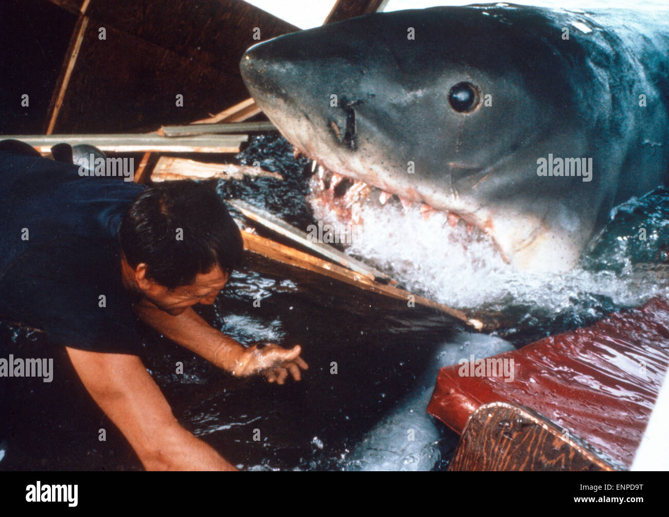 Unglaublich! «Der Weiße Hai» Von Spielberg: Von Nordsee Bis Bodensee Im Kino – Die Ersten Reaktionen! - 69tce25