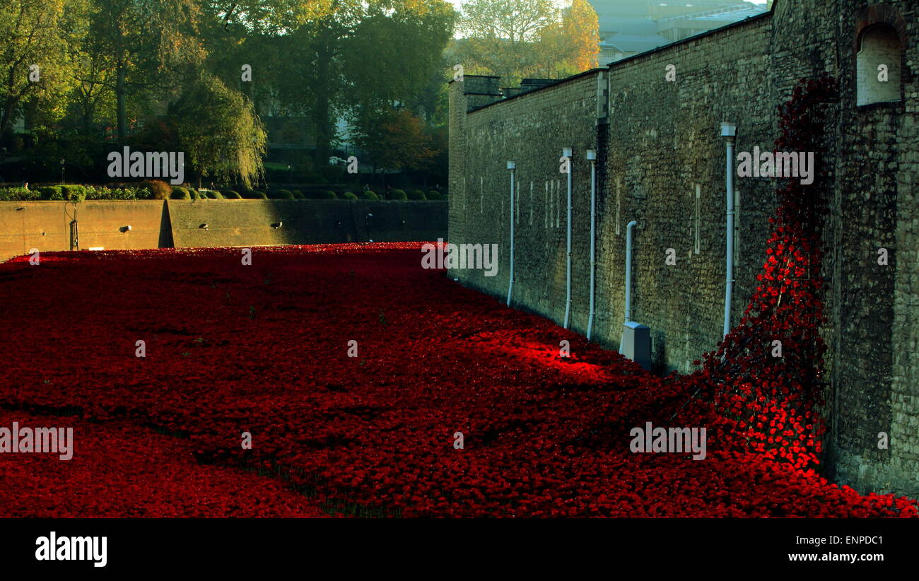 Poppies at Tower of London commemorating the war dead Stock Photo