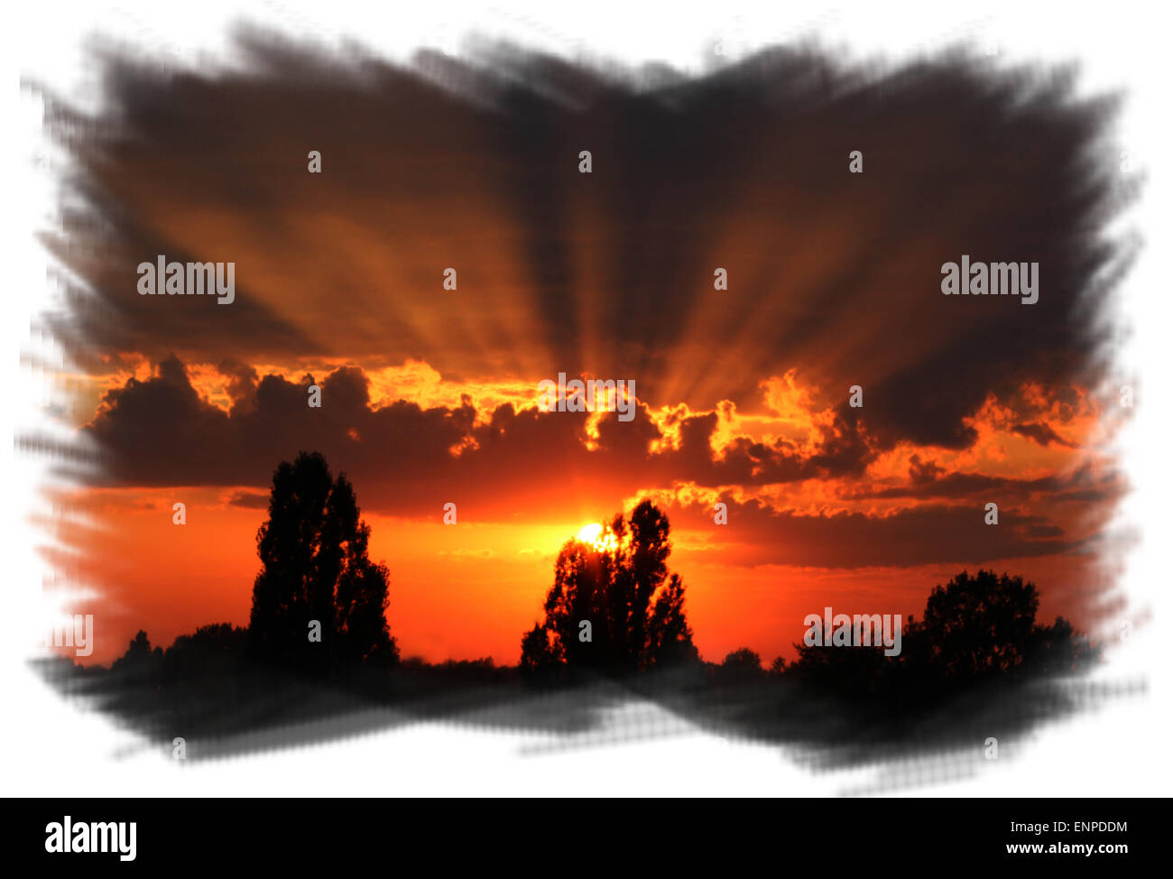 beautiful dark summer decline with dark sky trees and the last sun beams in the painted white frame Stock Photo