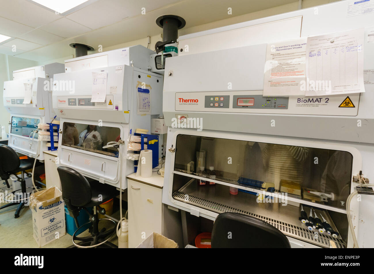 Thermo Electron Corporation BioMat 2 microbiological safety cabinets in a research laboratory. Stock Photo